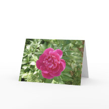 Vibrante Pink Peony Flower Tarjeta de agradecimien