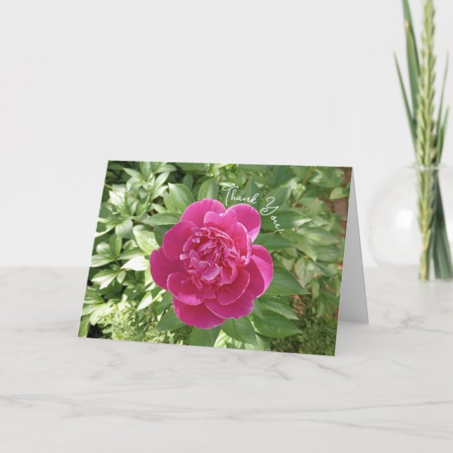 Agradecimiento Vibrante Pink Peony Flower Tarjeta de agradecimien (Anverso)