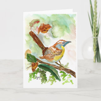 Agradecimiento Wren acucolor de la tarjeta en blanco