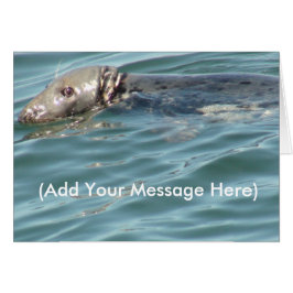 Agrega tu mensaje aquí tarjeta de foca linda
