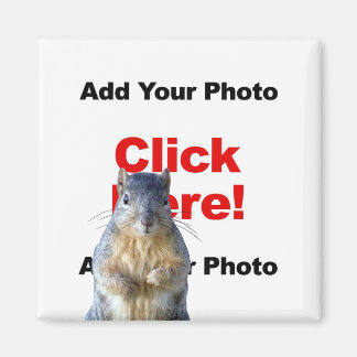 Agregar un imán personalizado de una ardilla