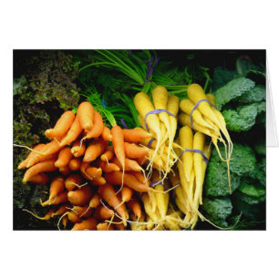 agricultores comercializan zanahorias