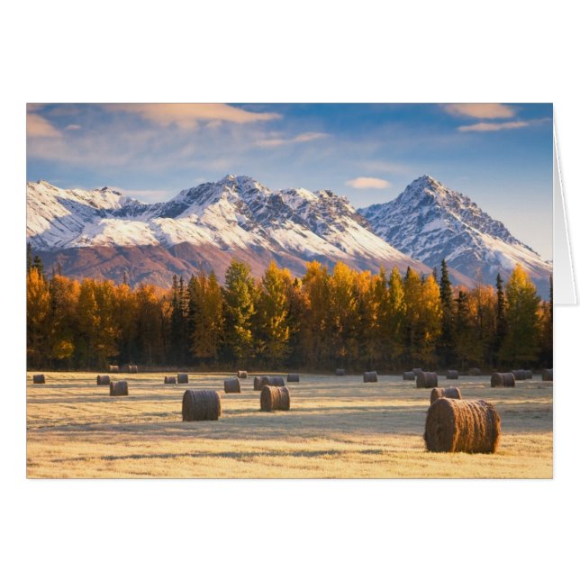 Agricultura de Alaska (Anverso (Horizontal))