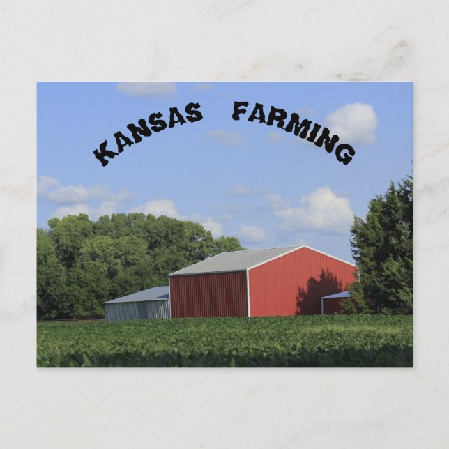 Agricultura de Kansas con soja y tarjeta postal de (Anverso)