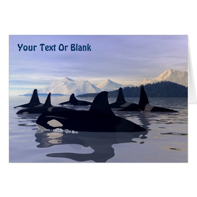 Agua brillante Orca (Anverso (Horizontal))