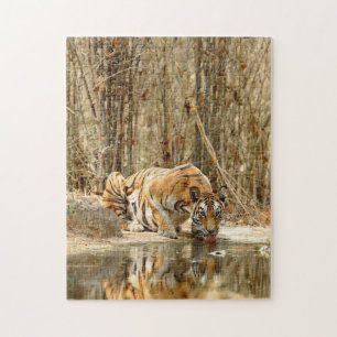 AGUA DE BEBIDA TIGRE JIGSAW PUZZLE