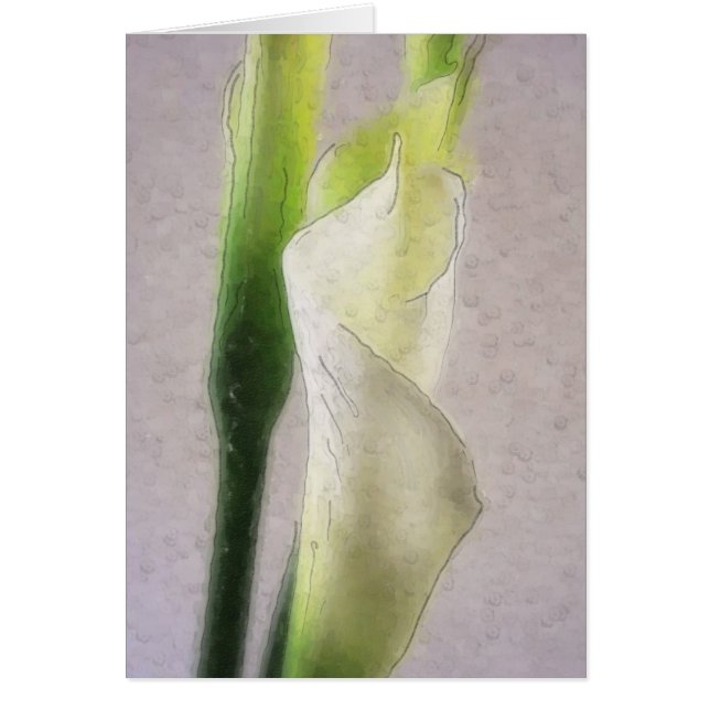 Agua de Calla Lily 1 (Frente)