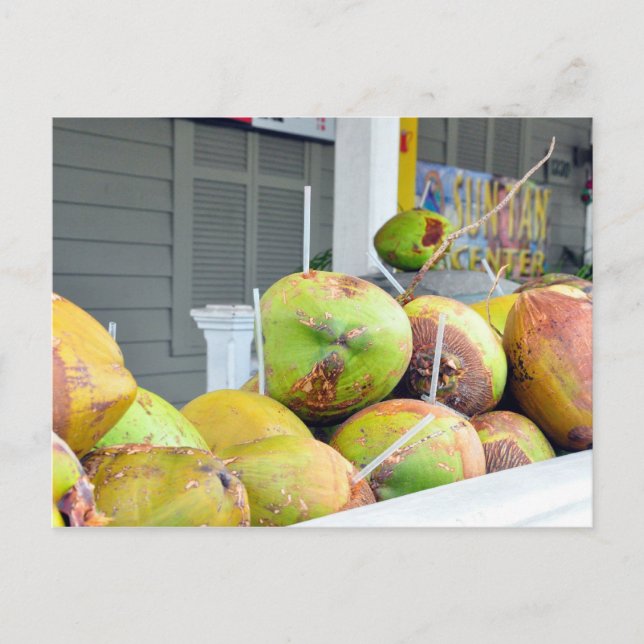 Agua de Coco Key West FL Cocos Tarjeta Postal (Anverso)