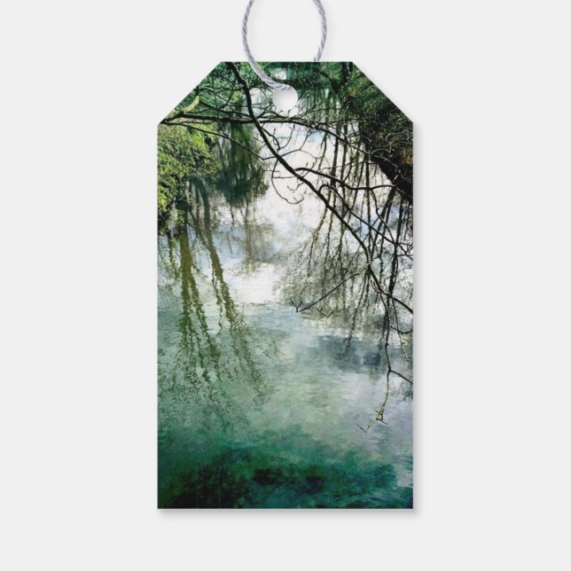 Agua de etiquetas de precios (Reverso)