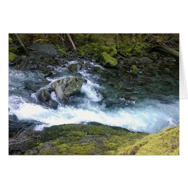 Agua del Pacífico noroeste de Rushing (Anverso (Horizontal))