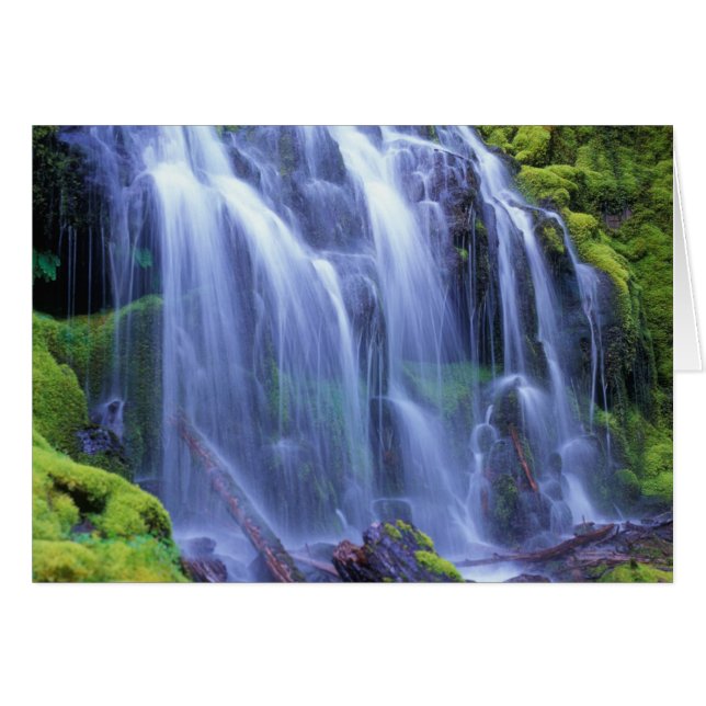 Agua dulce de primavera que fluye sobre musgo (Anverso (Horizontal))