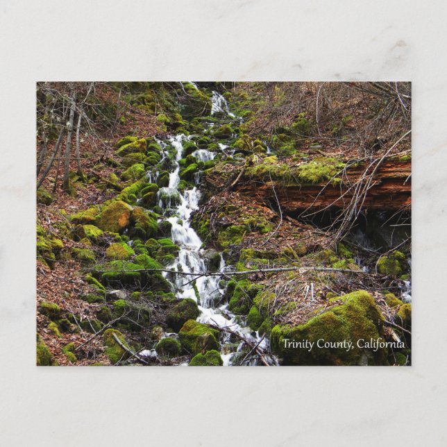 Agua dulce....Tarjeta Postal (Anverso)