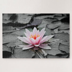 Agua Lily Aquatic Planta Jigsaw Puzzle