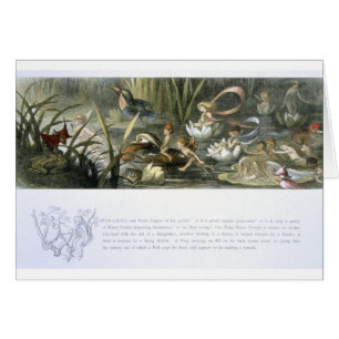 Agua-Lirios y hadas del agua, ilustracion de