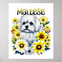 Agua maltesa: arte australiano para dueños de perr