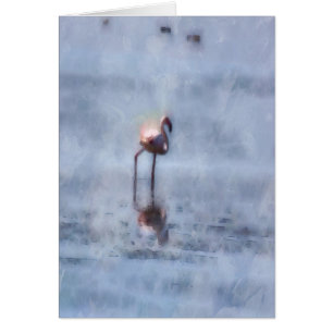 Agua Solitaria Flamingo