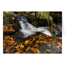 Agua tranquilizadora