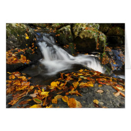 Agua tranquilizadora