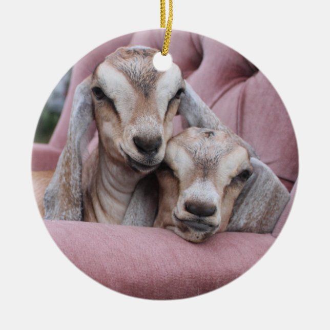 Aguacate y ornamento del día de fiesta de Smooshie (Frente)