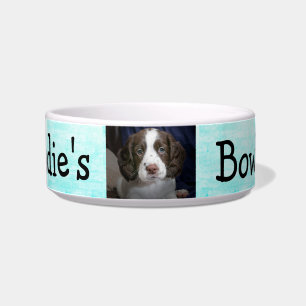 Aguamarina personalizada del cuenco del perro de