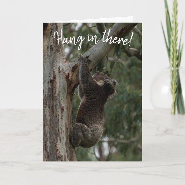 ¡Aguanta! Tarjeta de Australia Koala (Anverso)