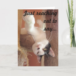 ¡Aguanta! Tarjeta de saludo de gato