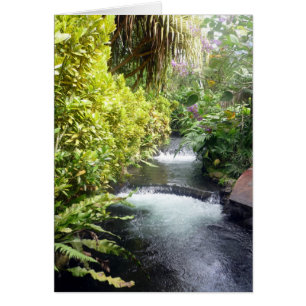 aguas costeras