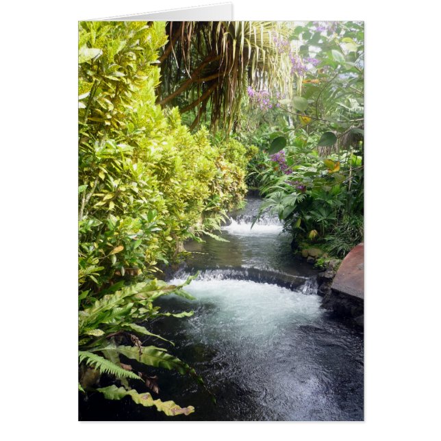 aguas costeras (Frente)