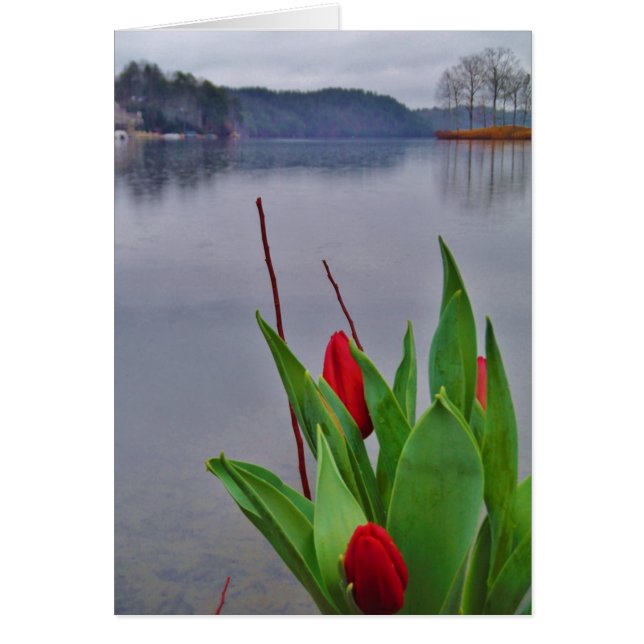 Aguas de Arrowhead del Lago Azul de Tulipanes Rojo (Frente)
