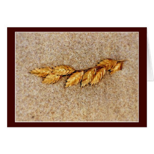 Aguas Marinas Y Arena