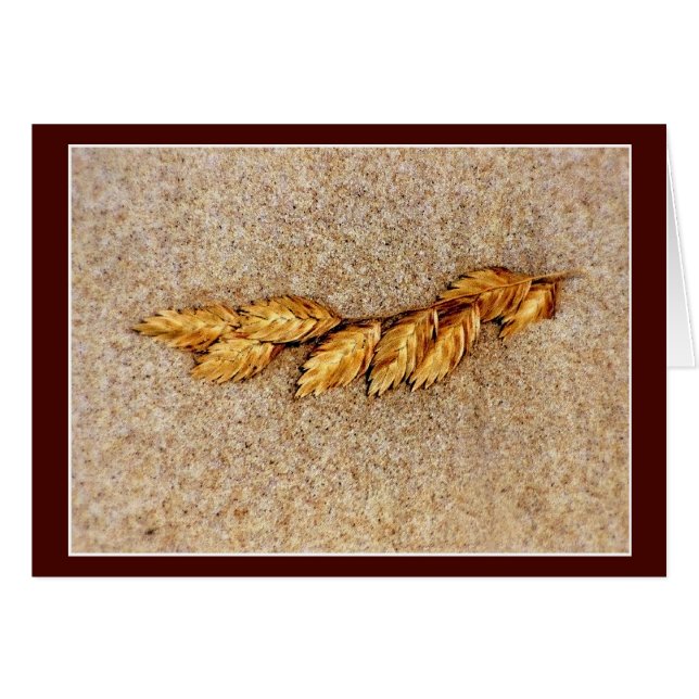 Aguas Marinas Y Arena (Anverso (Horizontal))