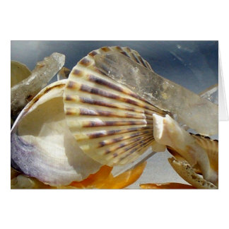 Aguas marinas y cristal