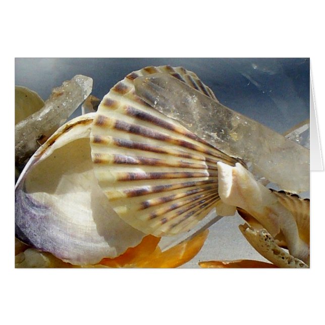 Aguas marinas y cristal (Anverso (Horizontal))