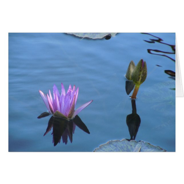 Aguas místicas (Anverso (Horizontal))