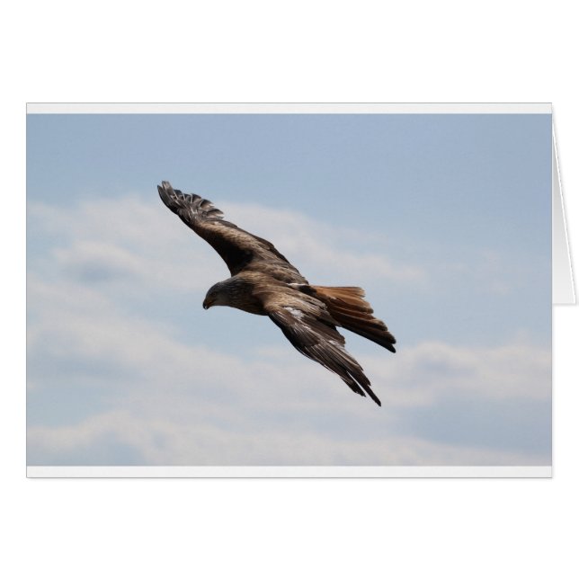 Águila (Anverso (Horizontal))