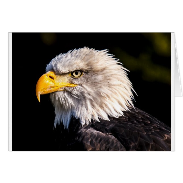 Águila 2 (Anverso (Horizontal))