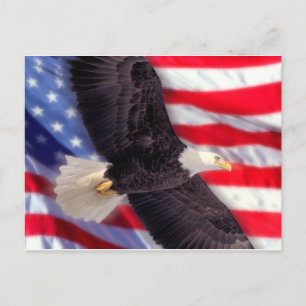 Águila americana con postal de la bandera estadoun