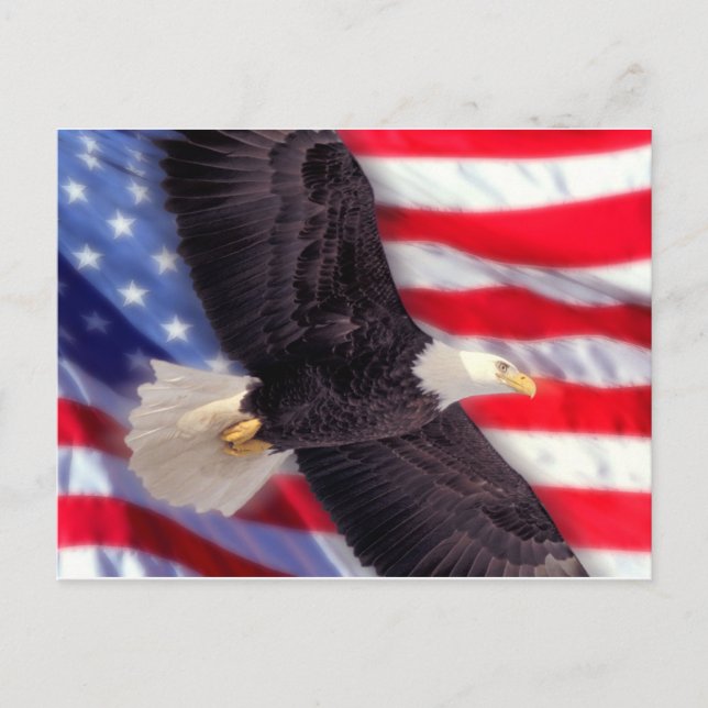 Águila americana con postal de la bandera estadoun (Anverso)