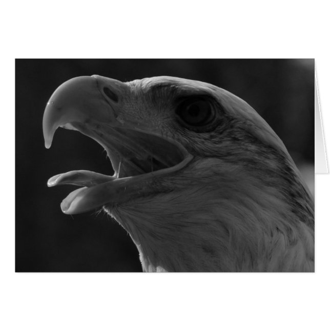 Águila blanca y negra (Anverso (Horizontal))