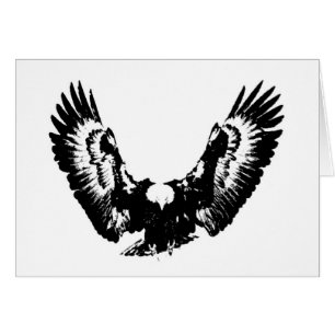 Águila blanca y negra