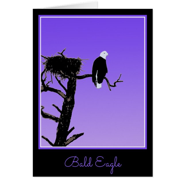 Águila calva al atardecer - Original Arte de Vida  (Frente)