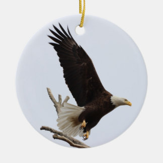 Águila calva de Columbiana Ornamento de Ohio