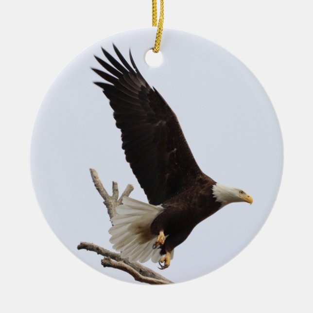 Águila calva de Columbiana Ornamento de Ohio (Frente)