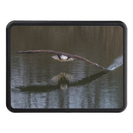 Águila calva en la cubierta de la garganta del vue