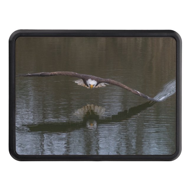 Águila calva en la cubierta de la garganta del vue (Anverso)