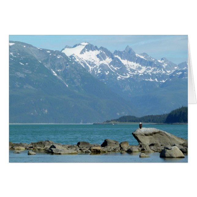 Águila calva en Skagway Alaska (Anverso (Horizontal))