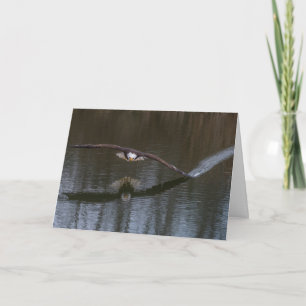 Águila calva en tarjeta de saludo de vuelo