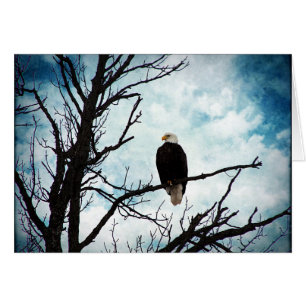 Águila calva en un árbol con cielo azul en todas l