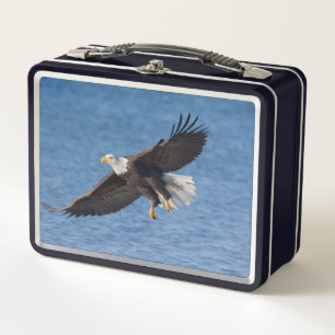 Águila calva en vuelo