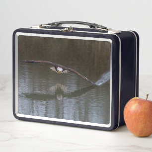 Águila calva en vuelo